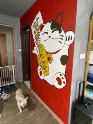 -IDEA·艾蒂尔科技美肤·日式美甲美睫集合店