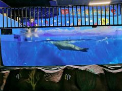 -常州海昌海洋探索馆
