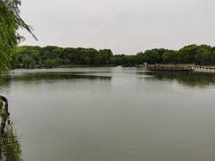 -上海鲜花港