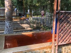 -春晖园度假酒店温泉