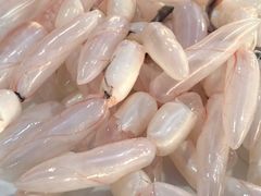 -章记正宗南岗鱼蛋火锅