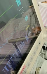 -南京医科大学友谊整形外科医院