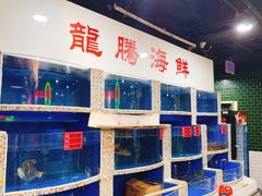 -虎虎龙虾大排档(双井店)