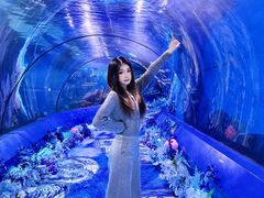 -重庆欢乐海底世界