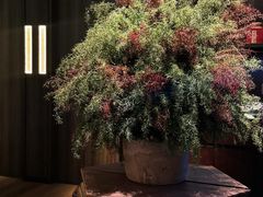 -晓长安·新陕菜(曲江店)