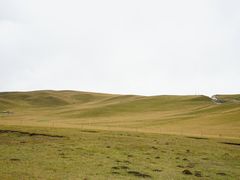 -郭莽湿地