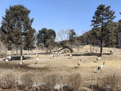 -沈阳森林动物园