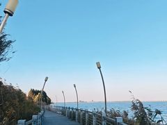 -丫丫蟹庄·苏式园林农家乐·阳澄湖大闸蟹(阳澄湖莲花岛店)