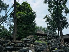 -北京艺术博物馆(万寿寺)