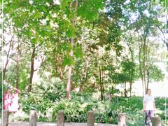 -成都市活水公园