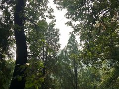 -阳台山自然风景区