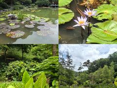 -云溪植物园