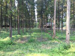 -黄海国家森林公园