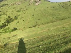 -大姆山草场
