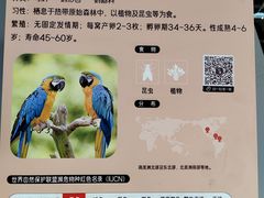 -武汉动物园