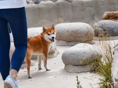 -白草畔自然风景区