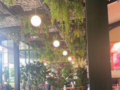 -普兰达德国餐厅·德式脆皮烤猪肘·自酿啤酒(观唐店)