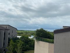 -上海崇明金茂凯悦酒店