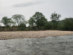 -九曲溪竹筏码头