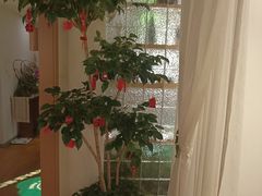 -沐森 •疗愈头疗馆(打浦桥店)