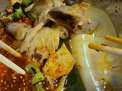 -舒记钵钵鸡