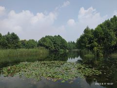 -贡湖湾湿地公园