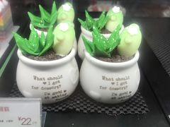 -85度C(厦门台湾街店)