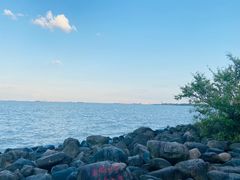 -上海吴淞炮台湾国家湿地公园