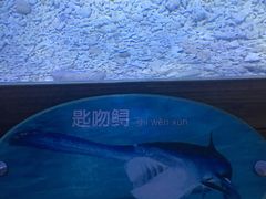 -上海长江河口科技馆