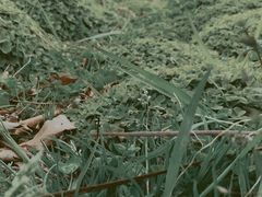 -白塘生态植物园