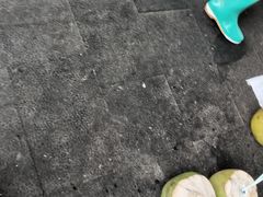 -力哥地道海南菜·联谊文昌鸡老店