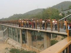 -石家庄市动物园