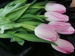 -循礼门鲜花花市(武汉循礼门店)