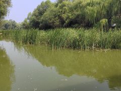 -泰安地下龙宫景区
