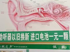 -自然之声助听器·呼吸机(保定清苑店)