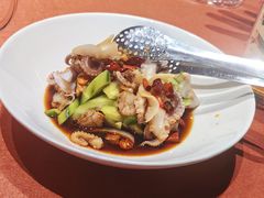 葱拌八带-船歌·鱼水饺青岛菜(闽江二路店)