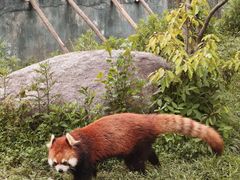 -宁波野生动物园