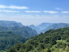 -王莽岭风景区