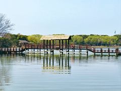 -苏州太湖国家湿地公园