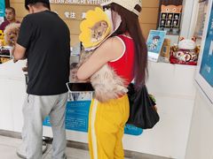 -美联众合动物医院·24h京西诊疗中心