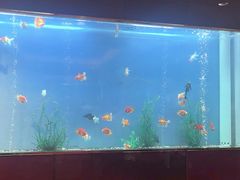 -阳澄湖费尔蒙酒店颐丰阁中餐厅(马鞍山西路店)