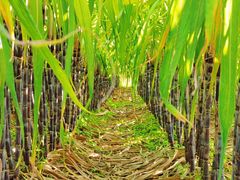 -汉长安城未央宫国家考古遗址公园