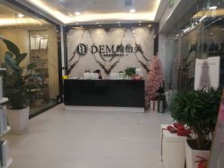 -DEM缔怡美科技美容