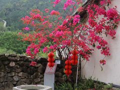 -广东天露山旅游度假区