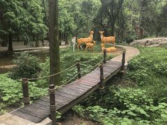 -波尔登森林公园