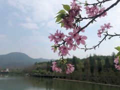 -田野绿世界