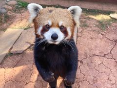 -云南野生动物园