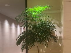 -汤泉良子·沐足·颂钵疗愈·SPA(珠江新城店)