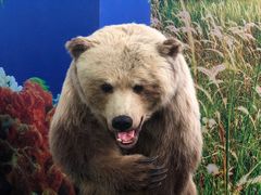 -郑州自然博物馆(惠济区)