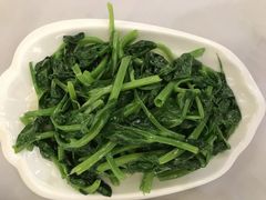 清炒豌豆苗-贵州大厦贵州厅(樱花园西街店)